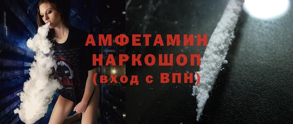 сатива Гусев