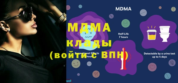 сатива Гусев
