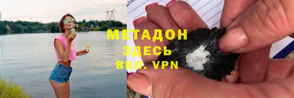 сатива Гусев
