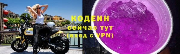 метадон Гусь-Хрустальный