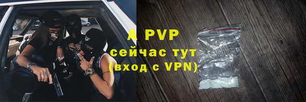 сатива Гусев