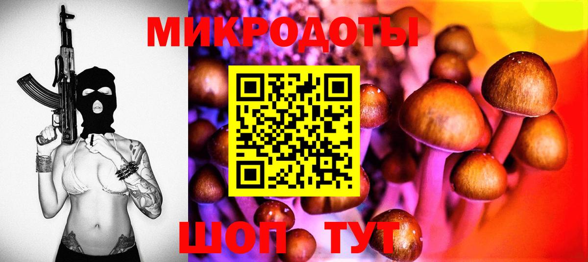 Галлюциногенные грибы MAGIC MUSHROOMS  где продают наркотики  Острогожск 