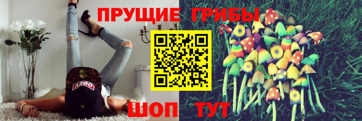 Псилоцибиновые грибы Magic Shrooms  Галлюциногенные грибы GOLDEN TEACHER  Острогожск  купить наркотики сайты  Вход с VPN 